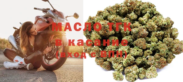 гашик Гусев