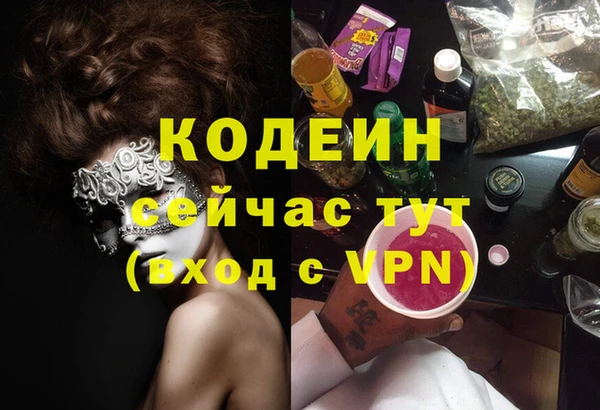 гашик Гусев