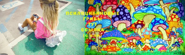 бутират Костерёво