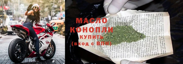 гашик Гусев