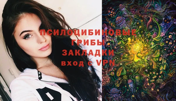 ешки Волоколамск