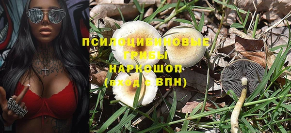 гашик Гусев