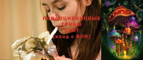 СК Гусиноозёрск