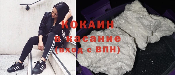 гашик Гусев
