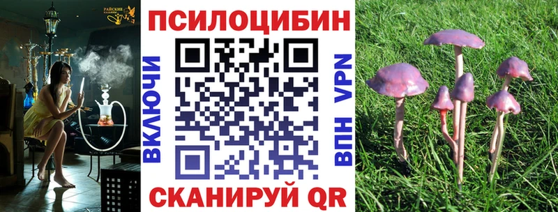 Псилоцибиновые грибы Magic Shrooms  что такое   Ефремов 