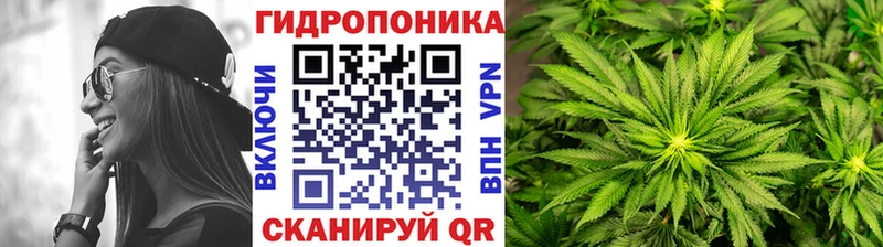 Бошки Шишки семена  Ефремов 